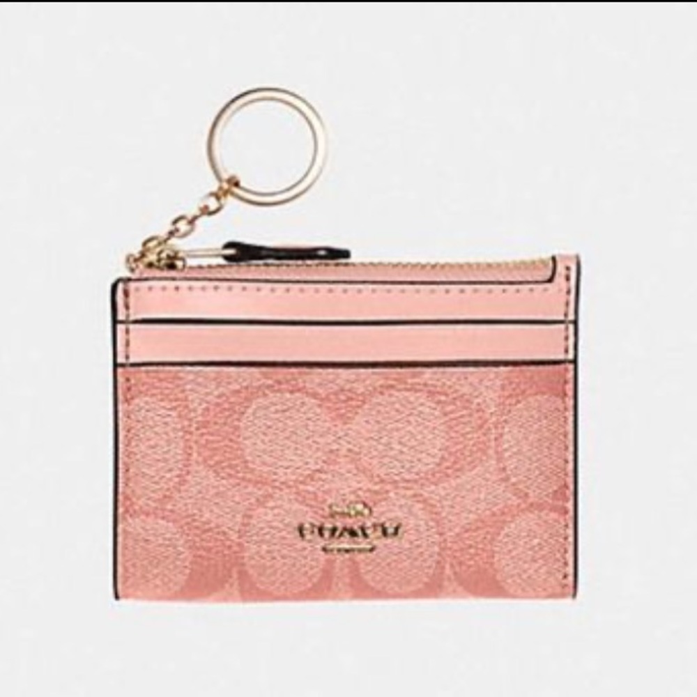 Coach Mini Skinny ID Case